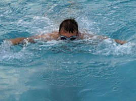 Delfinschwimmen - © Maria Lanznaster / pixelio.de